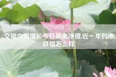 交银内需增长今日基金净值,近一年的涨跌幅怎么样