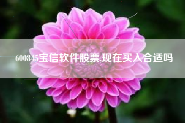 600845宝信软件股票,现在买入合适吗