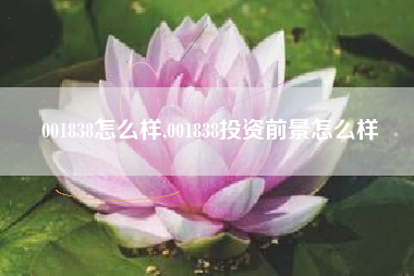 001838怎么样,001838投资前景怎么样