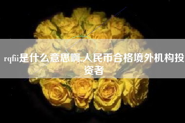rqfii是什么意思啊,人民币合格境外机构投资者