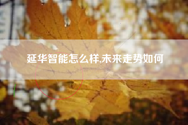 延华智能怎么样,未来走势如何