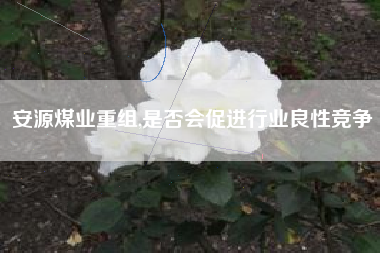 安源煤业重组,是否会促进行业良性竞争