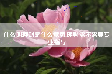 什么叫理财是什么意思,理财需不需要专业指导