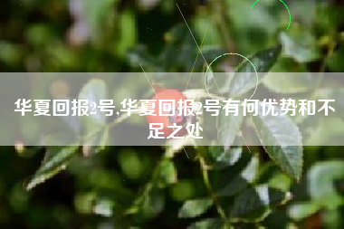 华夏回报2号,华夏回报2号有何优势和不足之处