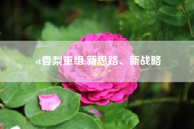 st香梨重组,新思路、新战略
