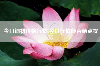 今日钢材价格行情,今日行情能否给点提示
