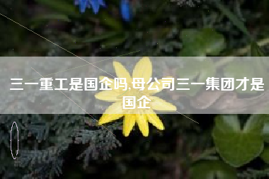 三一重工是国企吗,母公司三一集团才是国企