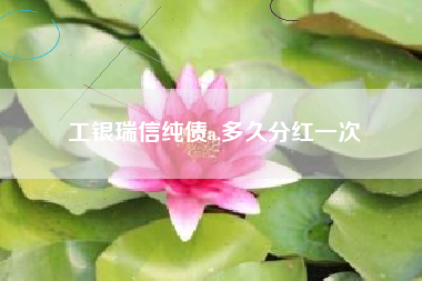 工银瑞信纯债a,多久分红一次