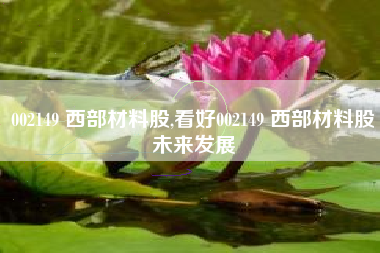 002149 西部材料股,看好002149 西部材料股未来发展