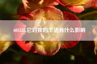603535,它对我的生活有什么影响