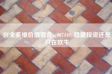 兴全多维价值混合a(007449),稳健投资还是只在吹牛