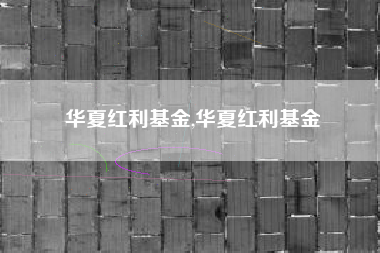 华夏红利基金,华夏红利基金