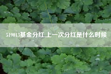 519013基金分红,上一次分红是什么时候