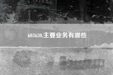 603630,主要业务有哪些