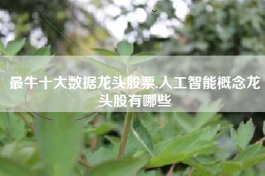 最牛十大数据龙头股票,人工智能概念龙头股有哪些