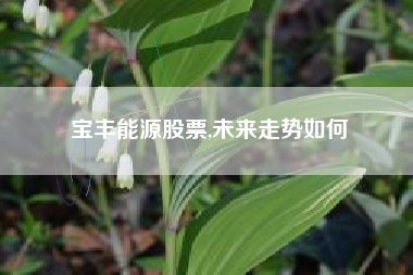 宝丰能源股票,未来走势如何