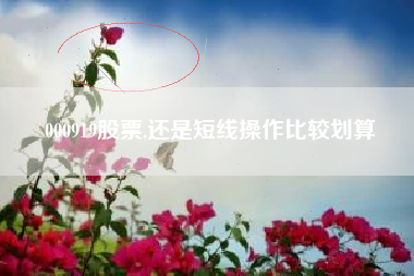 000919股票,还是短线操作比较划算