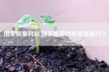 国家股票网站,国家推荐炒股神器是什么