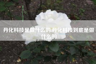 丹化科技是做什么的,丹化科技到底是做什么的