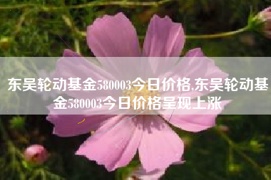 东吴轮动基金580003今日价格,东吴轮动基金580003今日价格呈现上涨