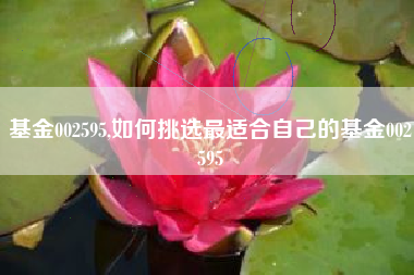 基金002595,如何挑选最适合自己的基金002595
