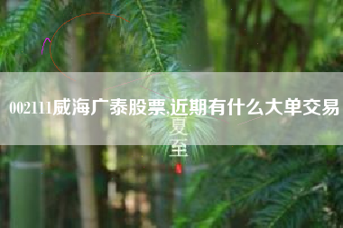 002111威海广泰股票,近期有什么大单交易