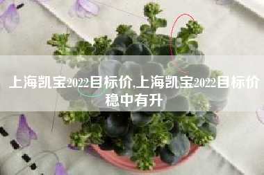 上海凯宝2022目标价,上海凯宝2022目标价稳中有升