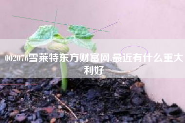 002076雪莱特东方财富网,最近有什么重大利好