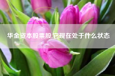 华金资本股票股,它现在处于什么状态