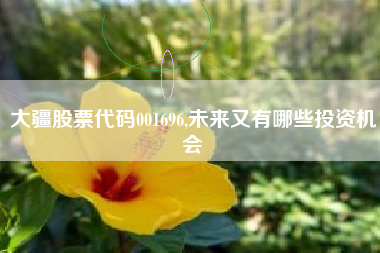 大疆股票代码001696,未来又有哪些投资机会