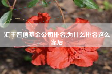 汇丰晋信基金公司排名,为什么排名这么靠后
