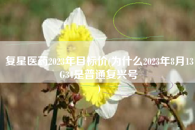 复星医药2023年目标价(为什么2023年8月13G34是普通复兴号
) 复星医药2023年目标价(为什么2023年8月13G34是普通复兴号
)