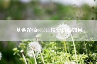 基金净值000595,投资价值如何