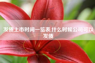 发债上市时间一览表,什么时候公司可以发债