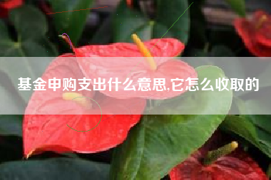 基金申购支出什么意思,它怎么收取的