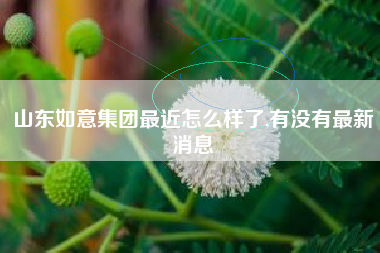 山东如意集团最近怎么样了,有没有最新消息