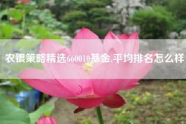 农银策略精选660010基金,平均排名怎么样