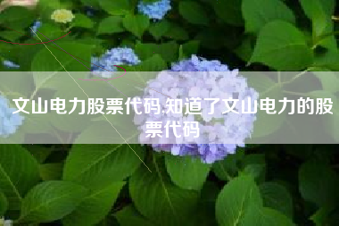 文山电力股票代码,知道了文山电力的股票代码