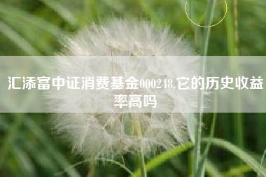 汇添富中证消费基金000248,它的历史收益率高吗