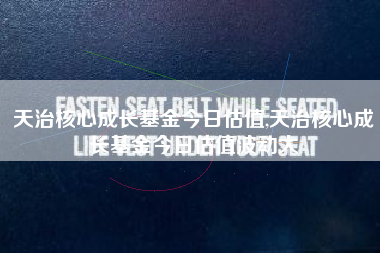 天治核心成长基金今日估值,天治核心成长基金今日估值波动大