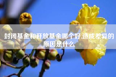 封闭基金和开放基金哪个好,造成差异的原因是什么