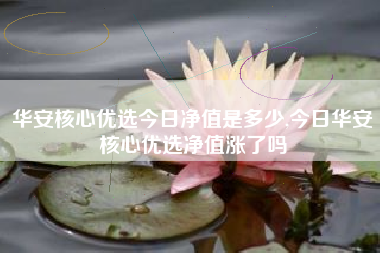 华安核心优选今日净值是多少,今日华安核心优选净值涨了吗