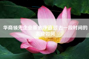 华商领先企业基金净值,过去一段时间的表现如何