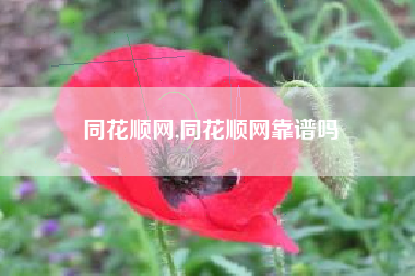 同花顺网,同花顺网靠谱吗