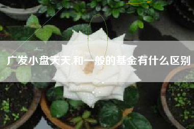 广发小盘天天,和一般的基金有什么区别