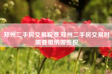 郑州二手房交易税费,郑州二手房交易时需要缴纳哪些税