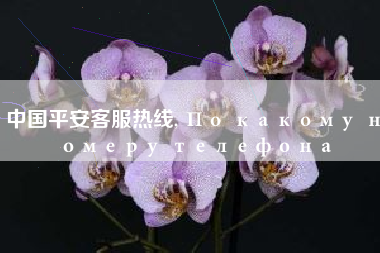 中国平安客服热线, По какому номеру телефона