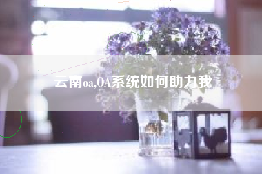 云南oa,OA系统如何助力我