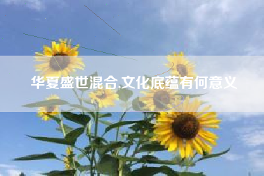 华夏盛世混合,文化底蕴有何意义