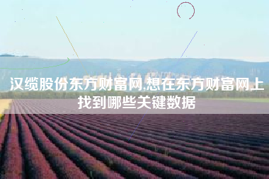 汉缆股份东方财富网,想在东方财富网上找到哪些关键数据